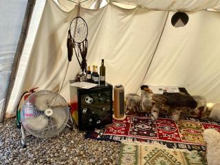 Romantic Wildlife Tipi Teepee Tomnatic Bihor Romania Apuseni - Tomnatic - 1