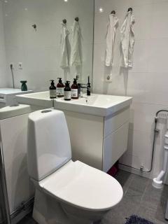 Sky view apartment, Stockholm - Solna - 2