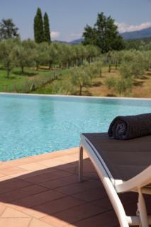 Villa Pacini - just 1,8 km outside Lucca Wall - Pool - Lucca - 7