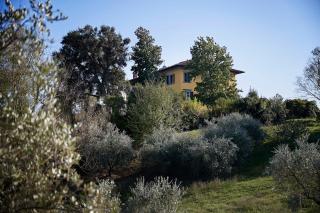Villa Pacini - just 1,8 km outside Lucca Wall - Pool - Lucca - 1