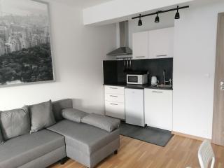 Brand new studio apartment #71 with free secure parking in the center - Prague - 3