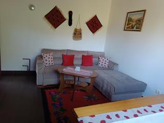 Vila Zorka - Nova Varoš - 3
