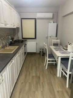 Apartament A&A Hațeg - Haţeg - 8
