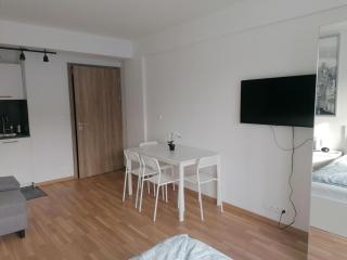 Brand new studio apartment # 45 with free parking in the city center - Praga - 3