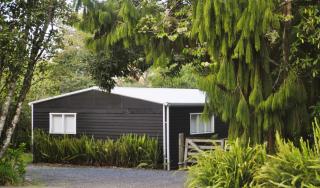 Lakeside Cottage with Jetty at Lake Tarawera - Rotorua - 8
