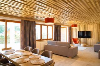 Amenity Hotel & Resort Lipno - Lipno nad Vltavou - 7