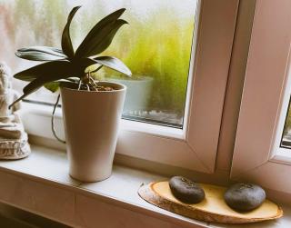 Modernes Appartement im Grünen - Stilvoll und komfortabel - Cologne - 1
