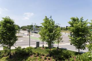 Jamaica Plain 1BR w WD nr Forrest Hills T BOS-719 - 8