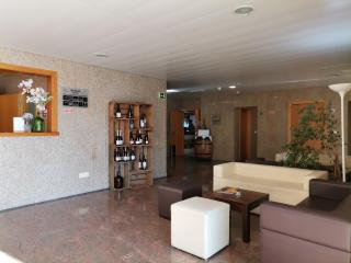 Hotel Quinta dos Cedros - Celorico da Beira - 4