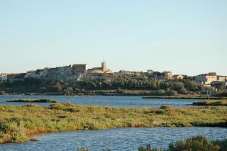 B&B Domaine Méditerranée - Paraza - 2