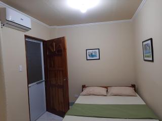 Alimpay Foresters Apartment - Panglao - 4