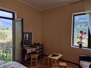 Bela's Guesthouse - Mestia - 4