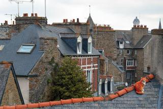 Appartement d'exception - proche de la mer - Saint-Brieuc - 5