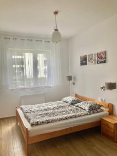 Marcelin Apartments Poznań - Poznan - 9