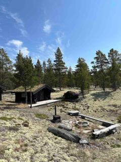 Atndalsvegen 1295 - panoramautsikt til Rondane - - 3