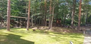 Apartman Divcigora Sokic 2 - 8