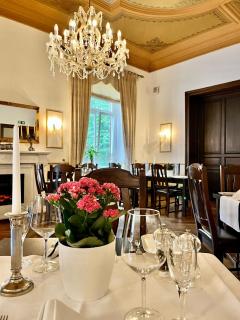Villa Sophienhöhe - Kerpen - 1