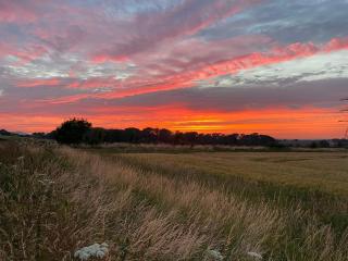 Foot of the Downs Shepherds Hut - 5