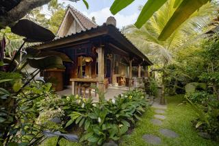 Moringa Ubud Villa - Ubud - 6