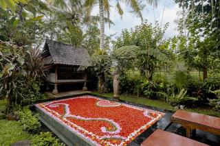 Moringa Ubud Villa - Ubud - 4