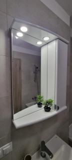 Coresi Business Apartment Brasov - Braşov - 2