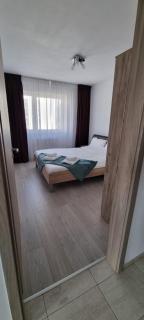 Coresi Business Apartment Brasov - Braşov - 8