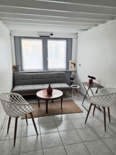 Duplex atypique loft Lyon 6 - 9