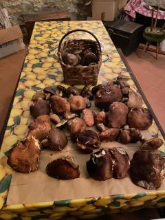 CasaMoira - Trequanda - 6