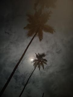 Bluemoon By Neelchand - Canacona - 5