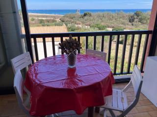 F2 - Front de Mer - Les Pieds Dans l'Eau - Appartement Situé à Saint-Cyprien Plage Sud - 30M Mer et Plage - et Non 500M- Avec Une Belle Vue sur Mer Depuis la Terrasse - Piscine - Parking Privatif - 4 Personnes - Saint-Cyprien - 8