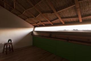 Be and See in Nature - 6