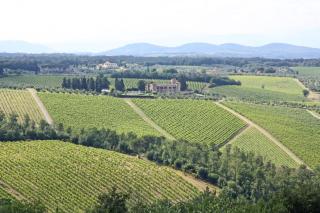 AGRITURISMO VICOLABATE - San Casciano in Val di Pesa - 7