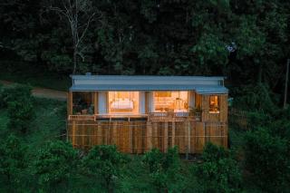 Paopao Orange Farm and Home stay - 1