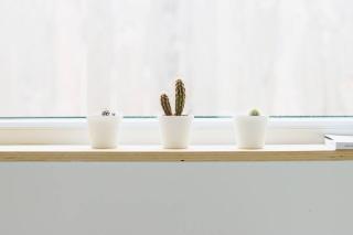 Les bungalows de la Torche - B°3 West - 6