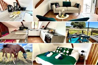 Gîte Fancy, Vallée du Scorff, Nature 2-4 personnes - Arzano - 9