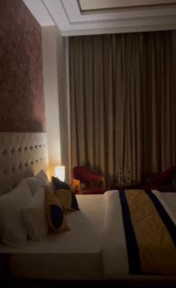 Luxury Penthouse with Taj Mahal view - Agra - 1