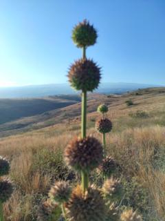 Chambre chez Jo - Saint-Paul - 4