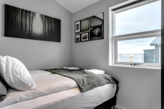 Selfoss Modern Cabins - 2