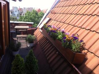 Apartament Piwna - Danzig - 4