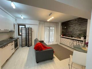 Apartament 2 camere Mogoșoaia - Mogoşoaia - 1