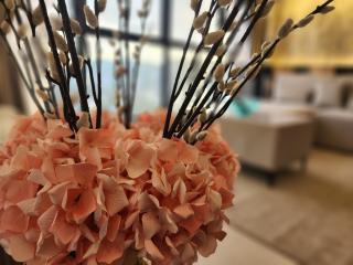 Urban Suite - George Town - Jelutong - 2