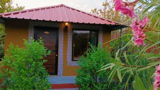 Ranthambhore Tiger Valley - 3