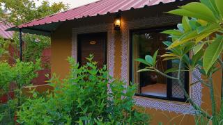 Ranthambhore Tiger Valley - 5