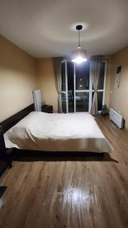 Budget overnight- Struma highway - Pernik - 1