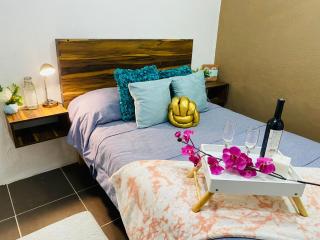 Departamento centrico - Bufa House - 2