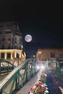 Brand New - Central Apartments - Sarajevo - 8