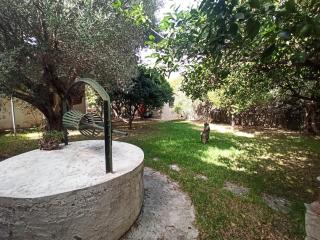 Σπίτι στο Ρίο Πατρών με κήπο - Detached House In Rio With Garden - Rio - 4