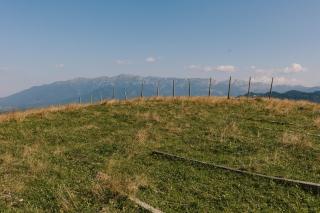 Zen Nest Tiny House - Şirnea - 2