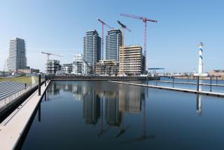 Wolf & Sea - Ostende - 9