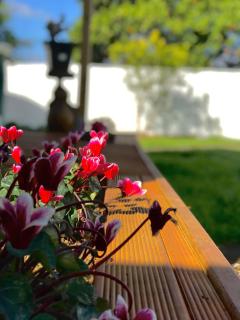 Onehunga Garden Tinyhouse with parking - Auckland - 7